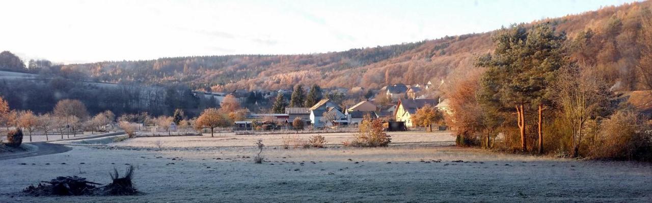 Landgasthof Zum Hirschen Hotel Hafenlohr Екстериор снимка